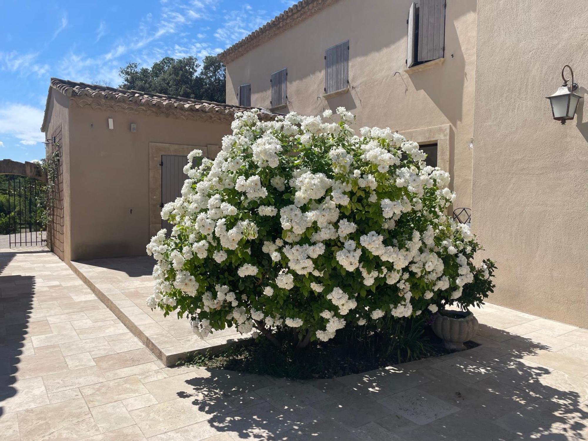 Cote Dentelles Bed and Breakfast Vacqueyras Buitenkant foto